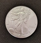 2025 American Silver Eagle 1oz Bullion Free Shipping Look!