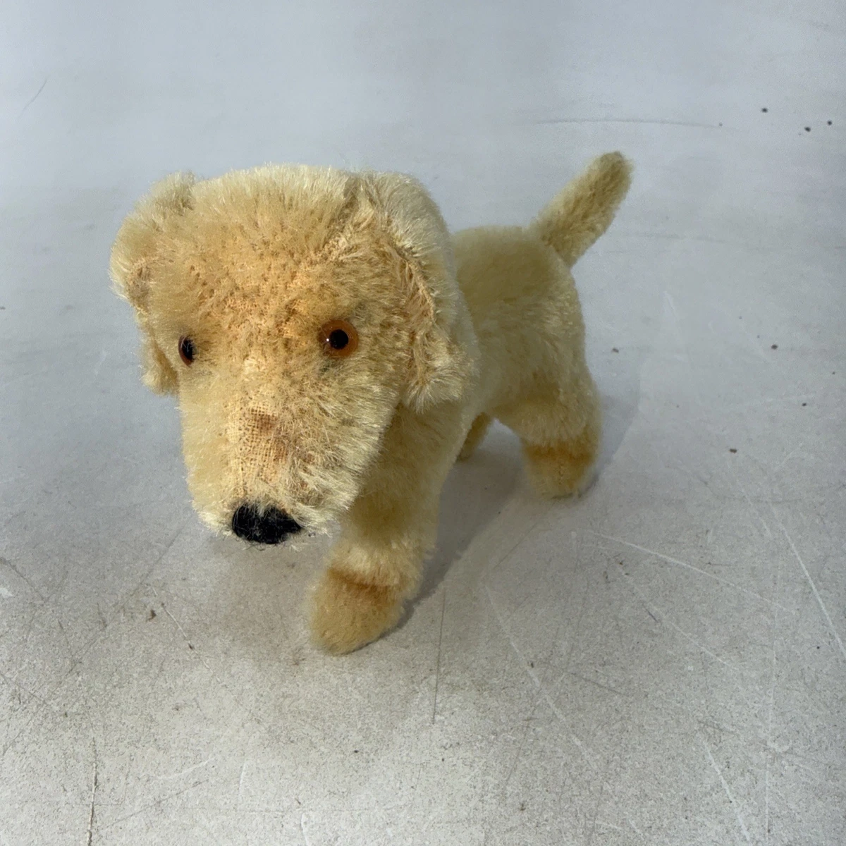 Steiff Dog In Steiff Stuffed Animals (Pre-1946) for sale | eBay