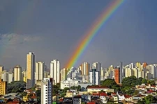SAO PAULO *2X3 FRIDGE MAGNET* CITY SKYLINE BRAZIL SOUTH AMERICA CATHEDRAL PARK
