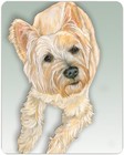 Cairn Terrier Cutting Board Tempered Glass, Pet Placemat, 11.5" x 15.5"
