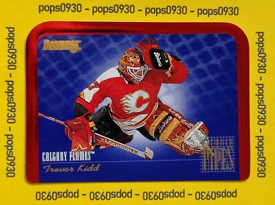 Trevor Kidd, Calgary Flames, 1995, Donruss, Between the Pipes, #4