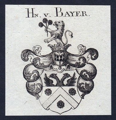 ca. 1820 Bayer Baier Wappen Adel coat of arms Kupferstich antique print heraldry