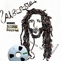 Audio Cd - Alborosie Meets Roots Radics - Dub For The Radicals - Vp Records -D-