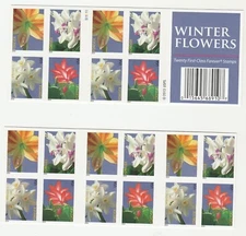 Scott # 4862 - 4865  US  Winter Flowers  Block 20 stamps  M/NH O/G  Free Ship