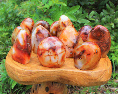 Carnelian Free Form Crystal: Cut Base Free Standing, Display - Choose Size