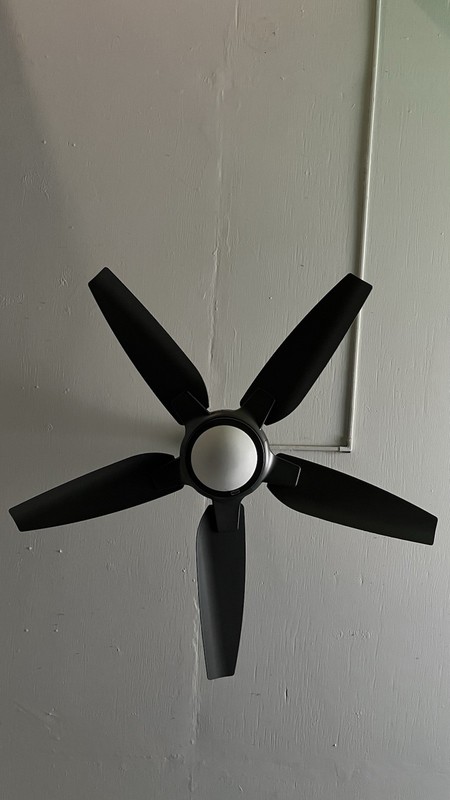 2 Ceiling Fans /  2 light fixtures