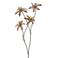 artplants Deko Zweig Lilie Frulmo Mit Glitzer, Braun-Gold, 60Cm
