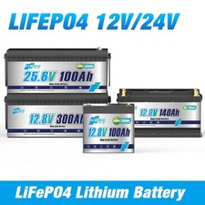12V 24V 100Ah 200Ah 300Ah LiFePO4 Lithium Batterie BMS Bluetooth for Solar RV