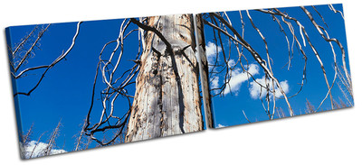 Old Tree Landscapes MULTI Leinwand Wand Kunst Bild drucken
