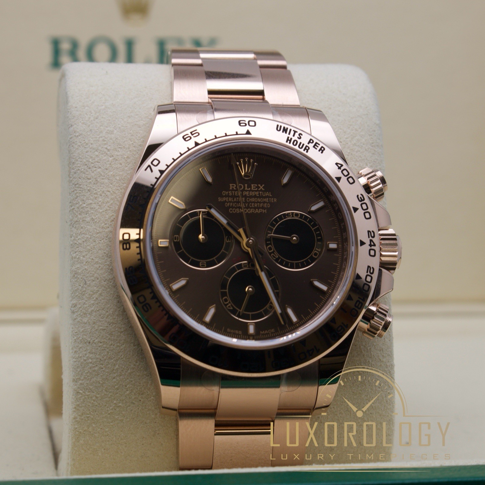 August 2025 Unworn Rolex Daytona 126505 ‘Chocolate Dial’ **BELOW RRP** image 3