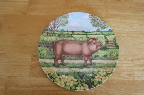 Plato Royal Doulton Pigs in Bloom - 'Primrose'
