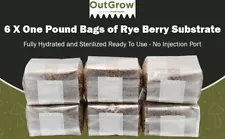Sterilized Rye Berry Grain Spawn Bags | 6 Pack of One Pound Bags | Out Grow