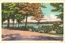 View of Trees At Thirty Acre Pond, Field Park, Brockton, Massachusetts Postcard