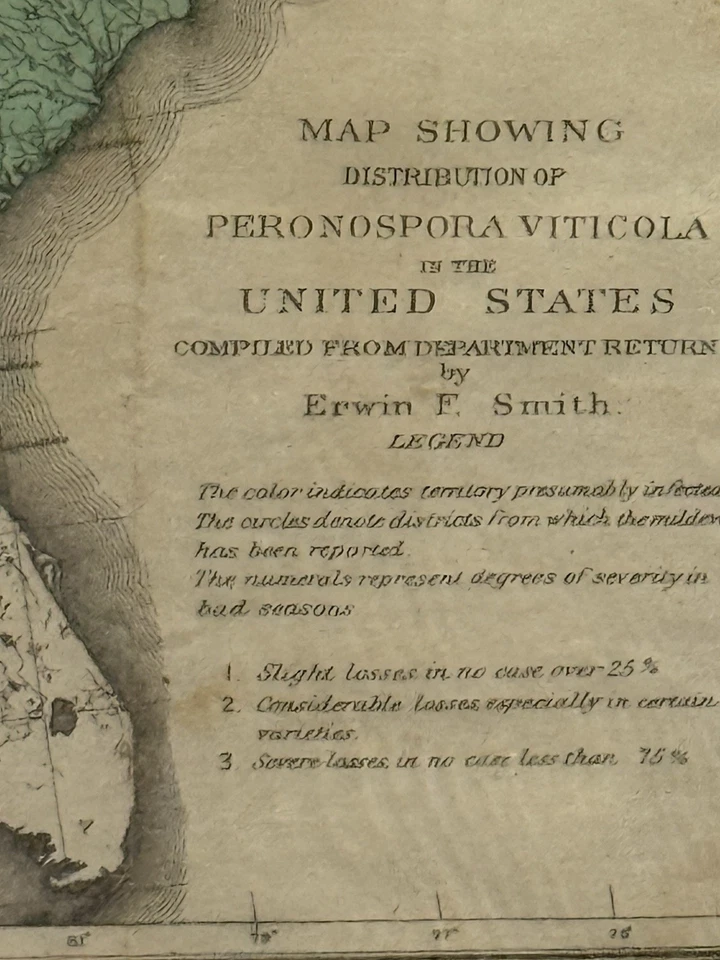 Antiguo Mapa Julio Bien 1890 - Distribución de Peronospora Viticola EE. UU. - Enmarcado Foto 4 de 4