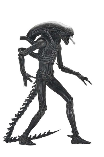 Alien Romulus Xenomorph Xx121 Ultimate Version Action Figure Film 2024 Neca-image