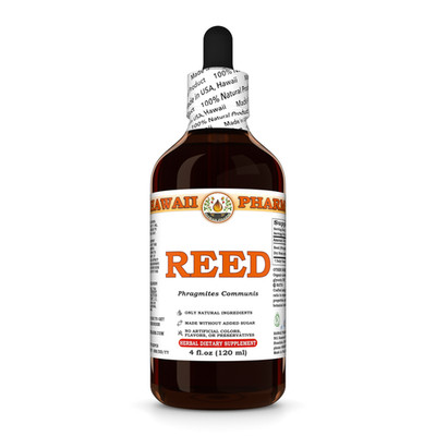 Reed / Lu Gen (Phragmites Communis) Dried Stem Liquid Herbal Extract