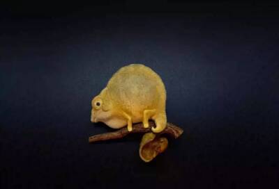 Animal Planet Super Rep Animal Heavenly Body Brookesia Statue Model Rare Ver.