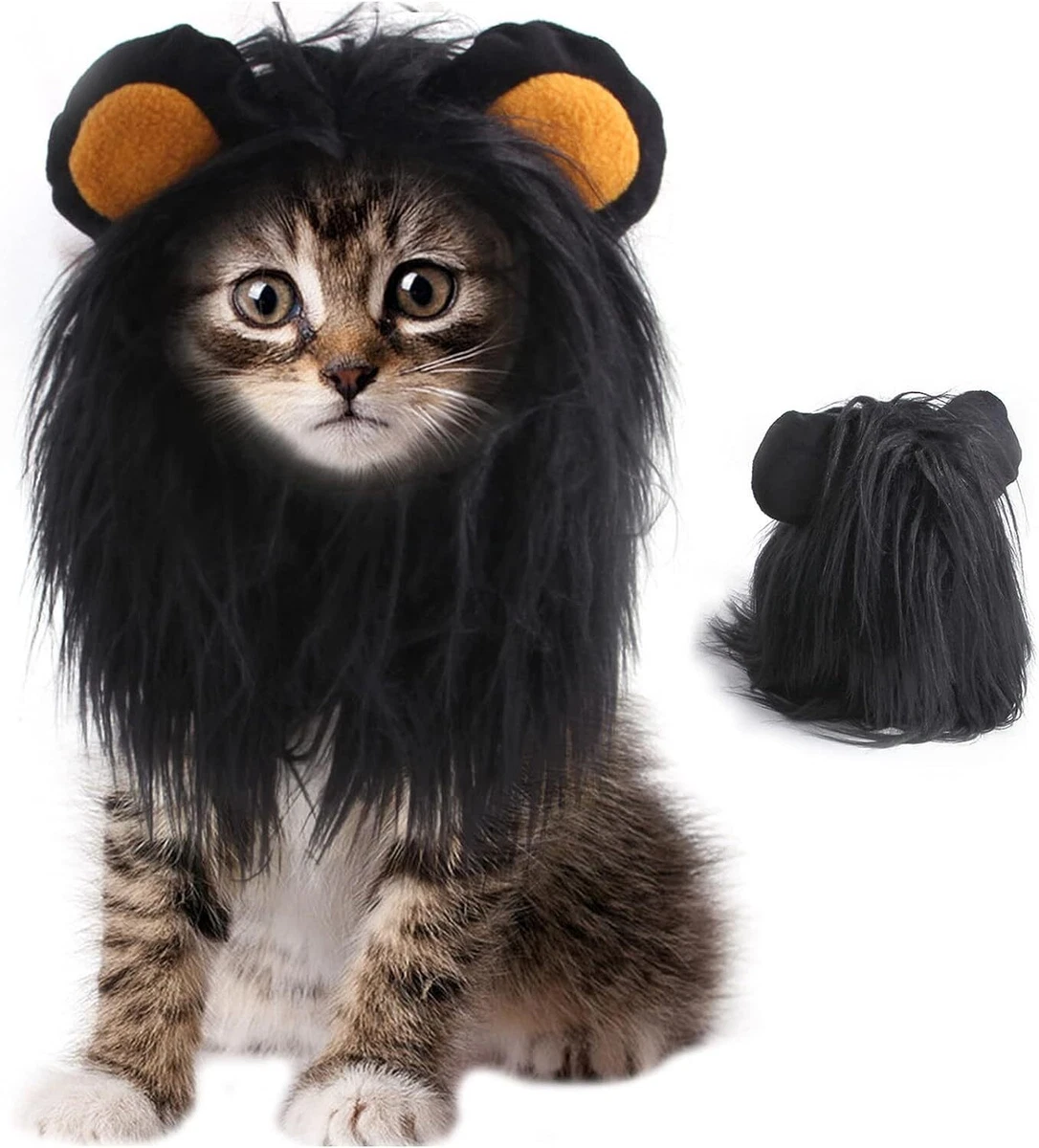 Halloween outfit for cat cheap