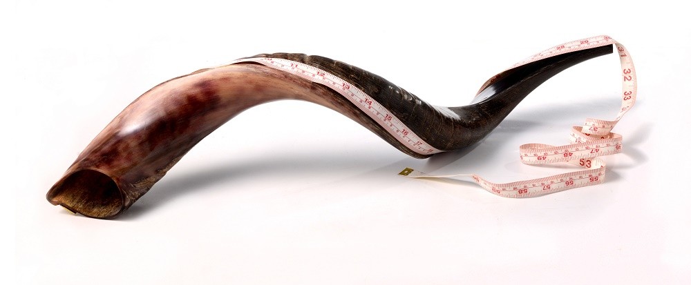 Kosher Yemenite Kudu Shofar Pair 40