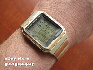 casio memory protect 100