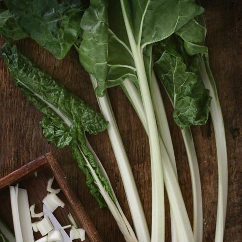 Swiss Chard - Large White - Seeds - Organic - Non Gmo - Heirloom Seeds