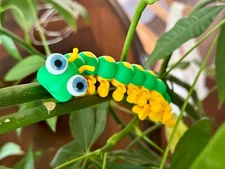 Caterpillar Buddy