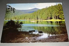 AK Arbersee Bayer. Wald 1977 Kirchdorf Stempel Arber-Haus Bergstation 1375m