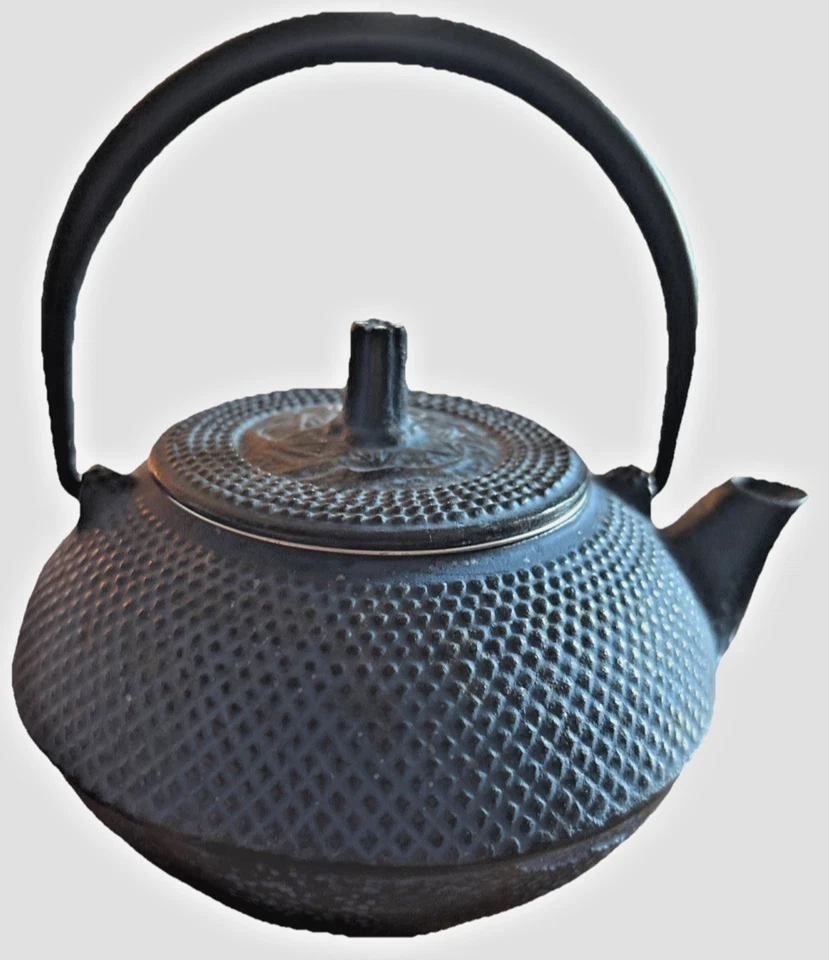 Подлинный Традиционный Японский РЕДКИЙ NAMBU TEKKI Синий Железный Чайник Тетсубин - Изображение 3 из 4