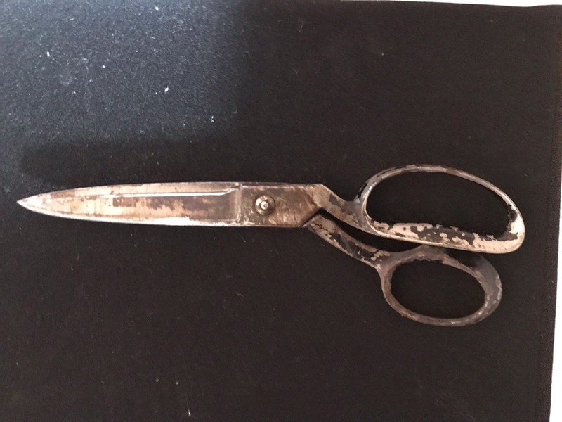 taylor scissors 