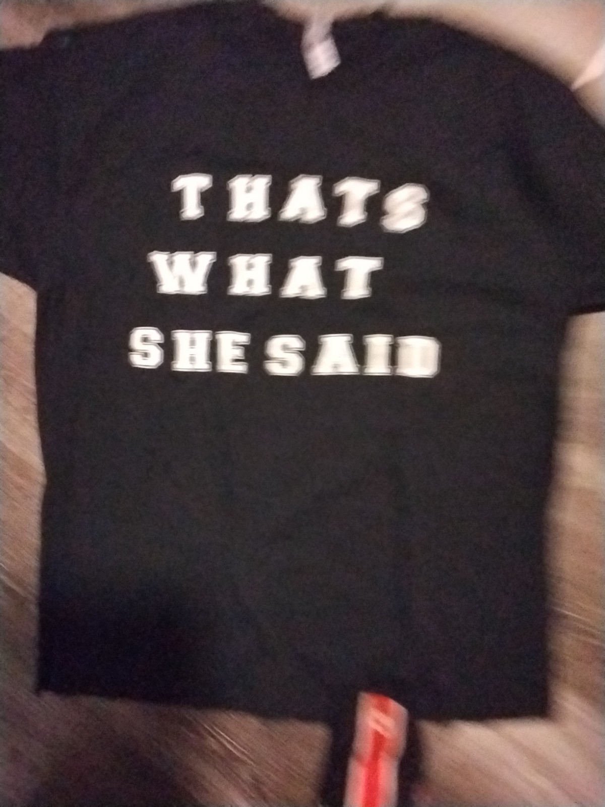 2xl That's What She Said Men's T Shirt Fun Saying Fun Gift