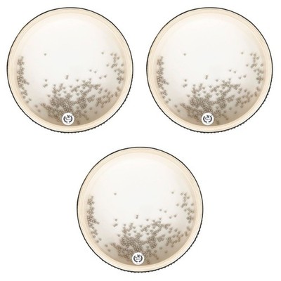  3 Pcs Musik Instrumenten Handtrommel Percussion Drum Handtrommeln Für Kinder