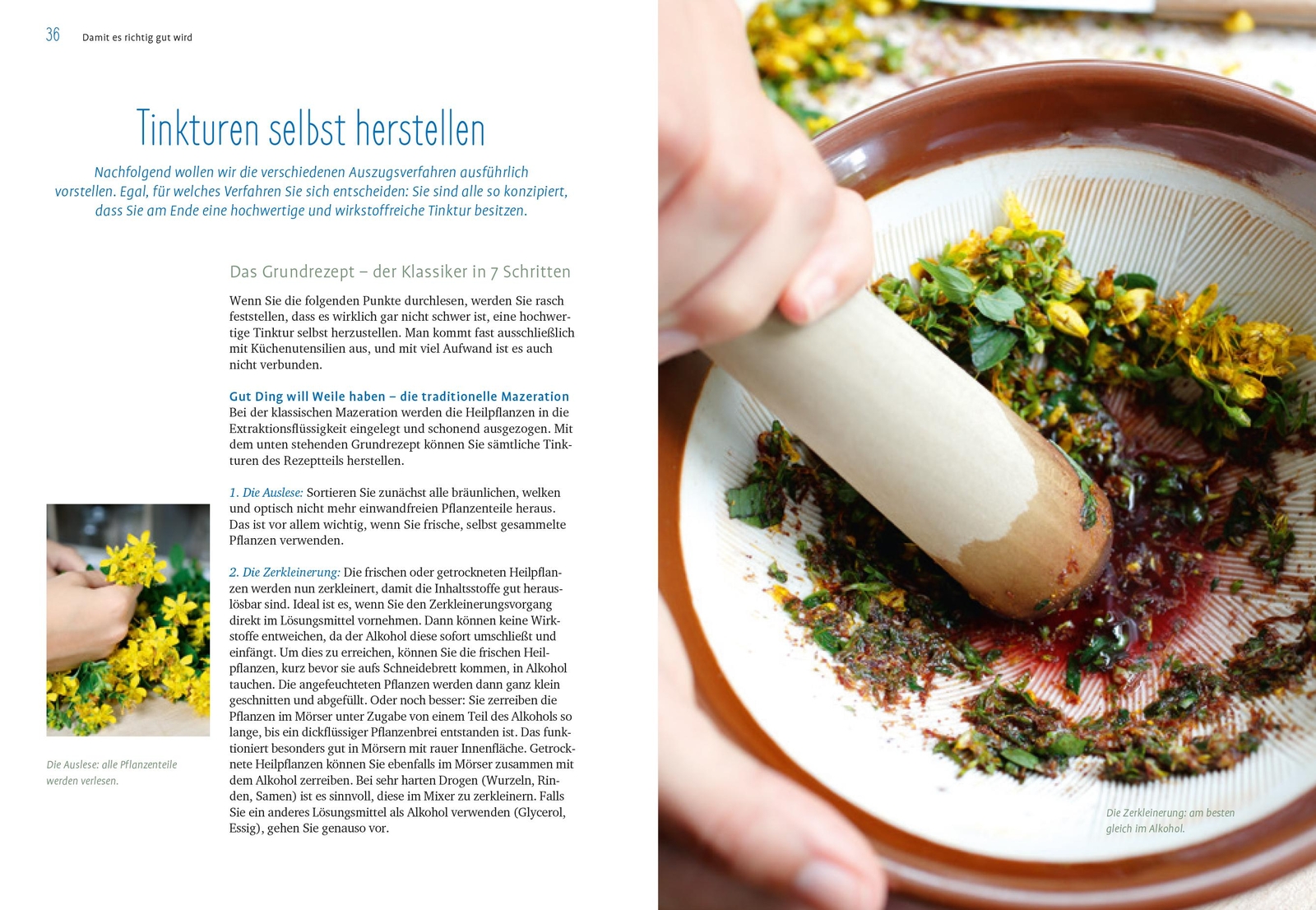 Thumbnail - Heilpflanzen-tinkturen, Rudi Beiser