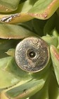 Antique MWA Leaf Screw Back Lapel Botton Modern Woodmen Of America Fraternal — photo 4