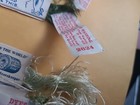 Bild 5 von 7