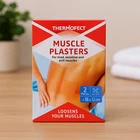 SAVING SET 10 piece heat plaster - size 18x12 cm - with cayenne pepper / capsicum
