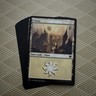 Magic The Gathering - 10x Basic Land - Plains - MTG - NM
