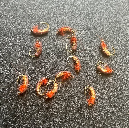 Czech Nymph Flies x 12 - size 10 -  various colours