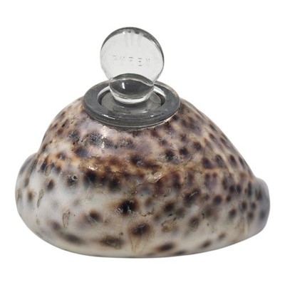 Vintage Tiger Cowrie Shell Cypraea Tigris Inkwell Decanter Pyrex Glass Stopper