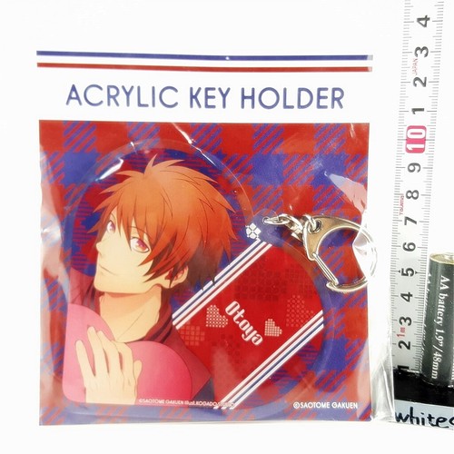 Uta no Prince Sama Broccoli Acrylic Mascot Keychain Otoya Japan Anime - Picture 2 of 3