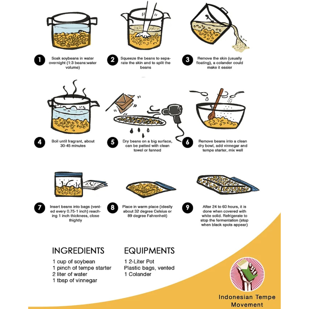 500g  RAPRIMA TEMPEH STARTER YEAST RAGI TEMPE INOCULUM STARTER