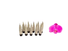 Sothys Grade 1 First Wrinkles Revitalizing Serum 10 Samples Brand New