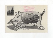 1938 3rd Reich Zeppelin Sudetenlandfahrt on greeting from Schweinheim card SI# 456