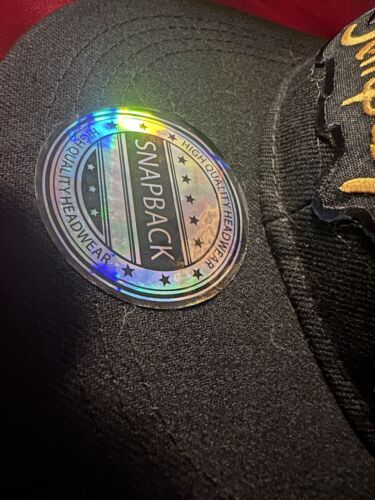 STONE TEMPLE PILOTS Sombrero SnapBack de ala ancha! Logo de banda bordado negro - Imagen 4 de 6