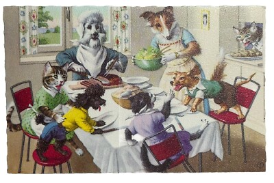 Alfred Mainzer Cats Postcard Belgium Anthropomorphic Dog Dinner Table Mayhem