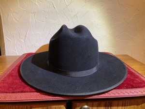 Bailey Beaver Hat | eBay