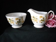 Queen Anne Bone China  Milk Jug & Sugar Bowl Yellow Floral