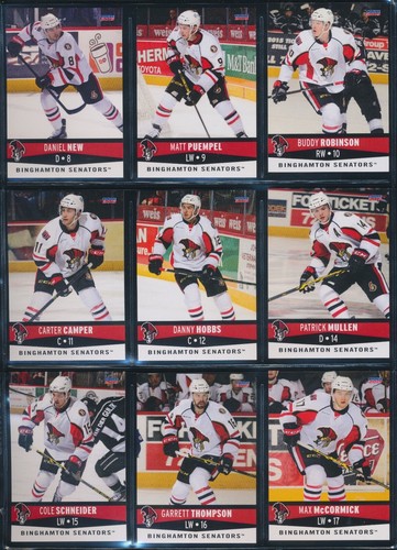 2006-07 to 2015-16 Choice Binghamton Senators AHL Team Set Single Cards - U PICK - Picture 143 of 194