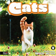 Cats 2026 Wall Calendar 12 Month  12" x 24" Open  Thick  Sturdy Paper  Holid