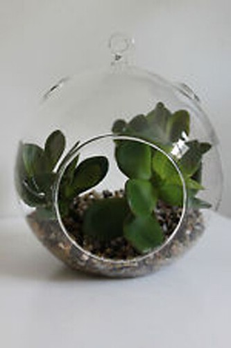 15cm LARGE Glass Hanging Round Ball Outdoor Tealight Succulent ...