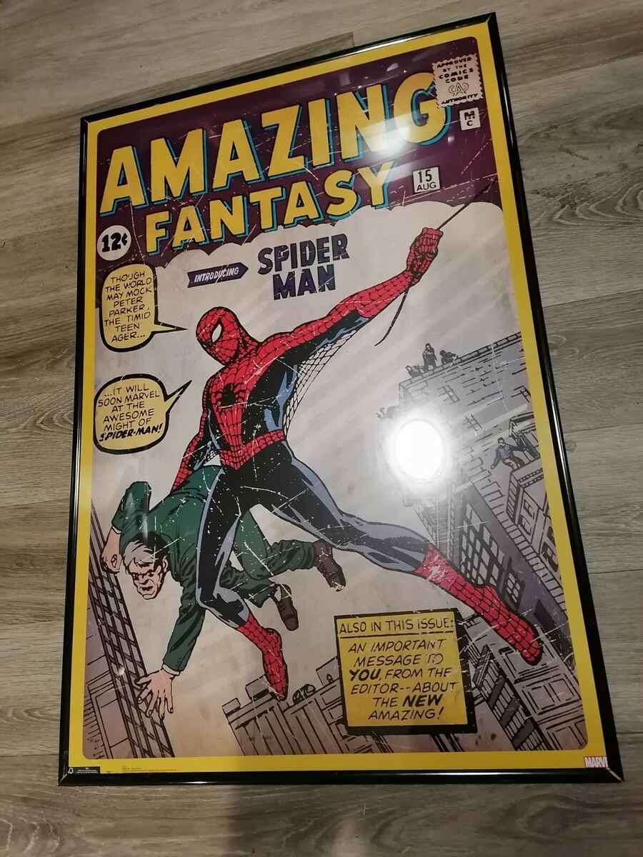 Amazing Fantasy (1962) #15, Comic Issues